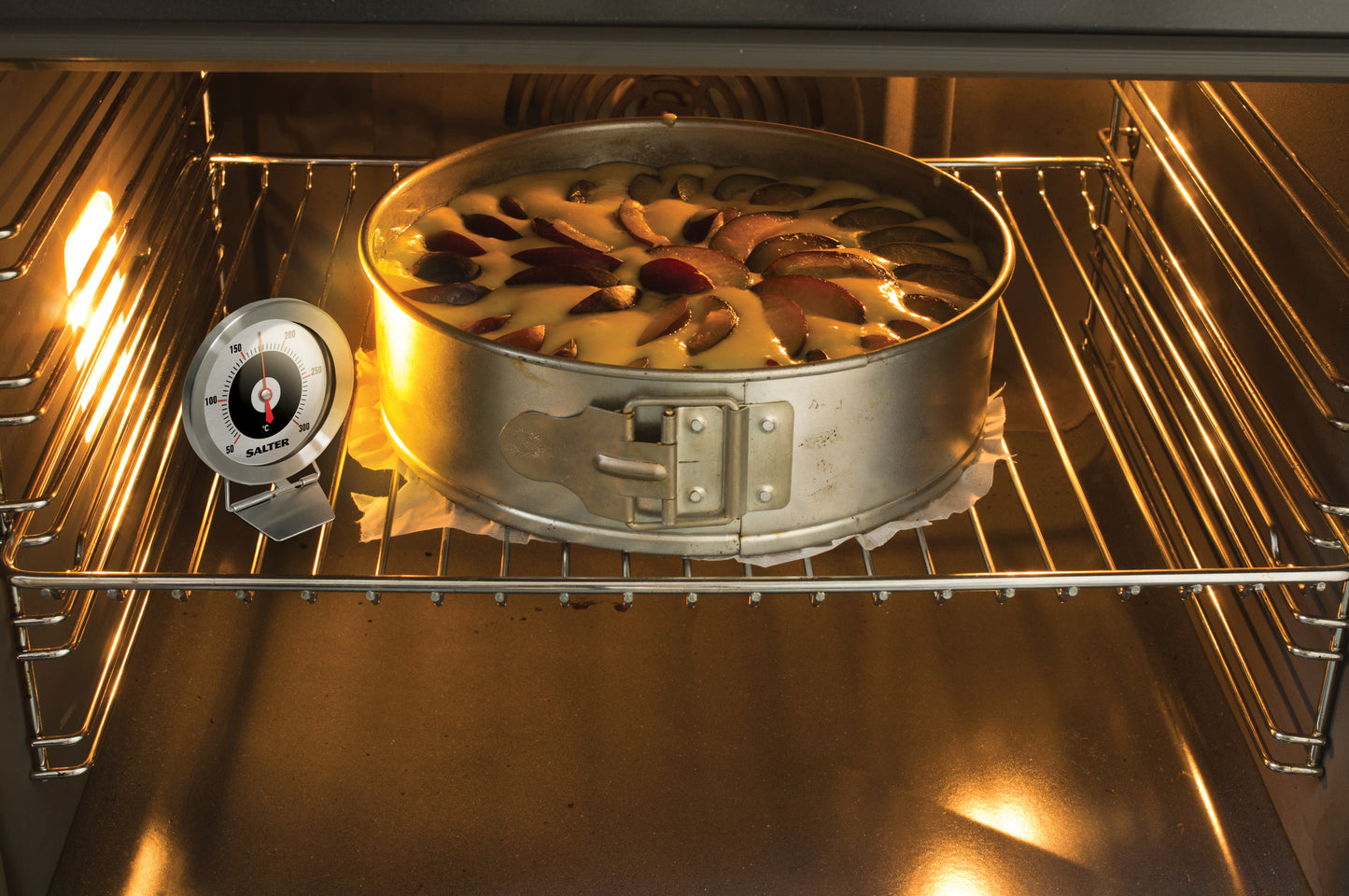 Salter Oven Thermometer 513S